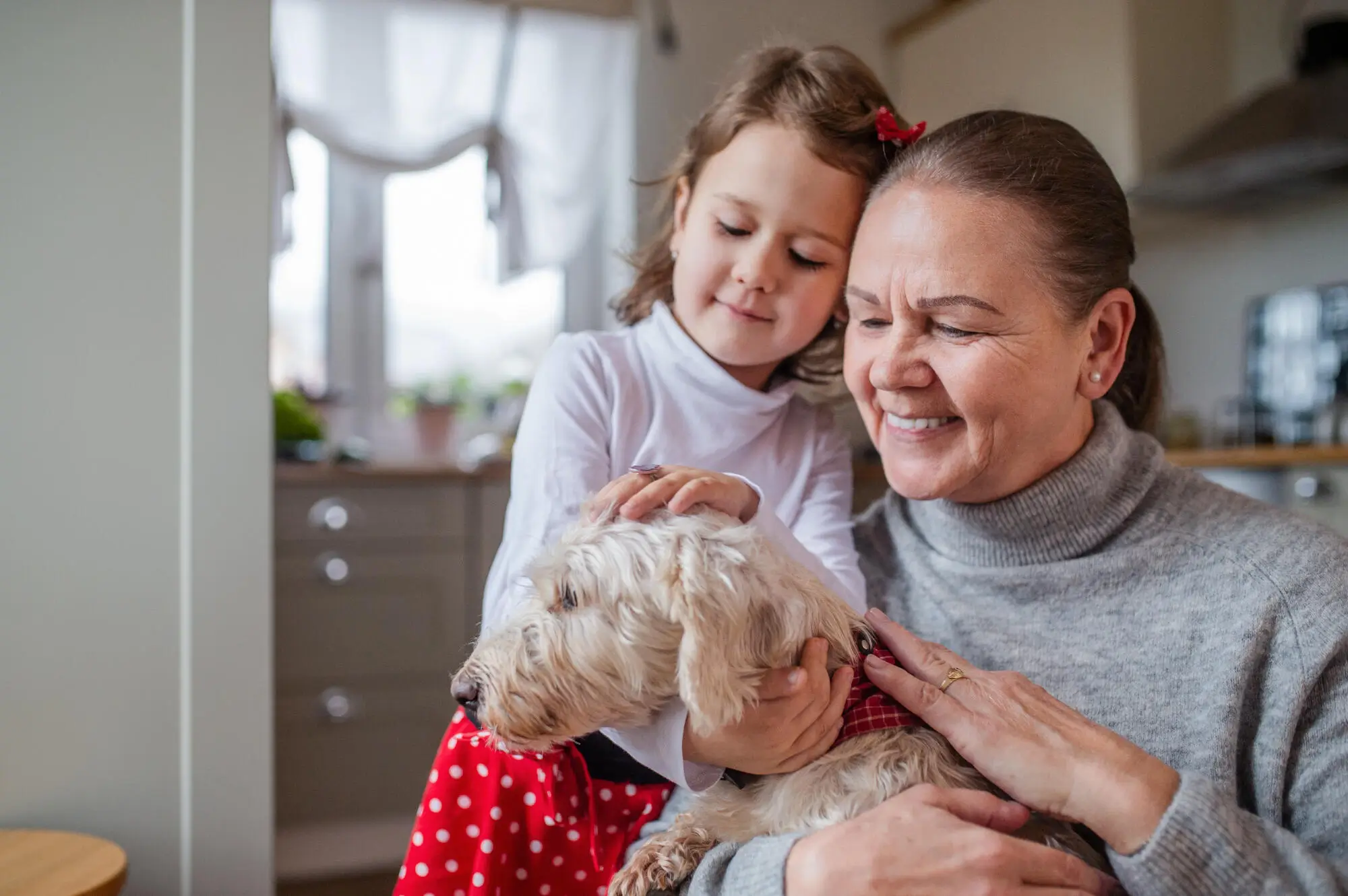 Difference Between Service, Emotional Support Animals and Pets: A Long Island Landlord's Guide